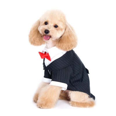 Bộ vest cho chó Alfie Pet Tuxedo 8 Bộ vest cho chó Alfie Pet Tuxedo