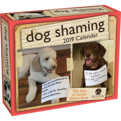 Lịch để bàn Dog Shaming 2019 9 Lịch để bàn Dog Shaming 2019