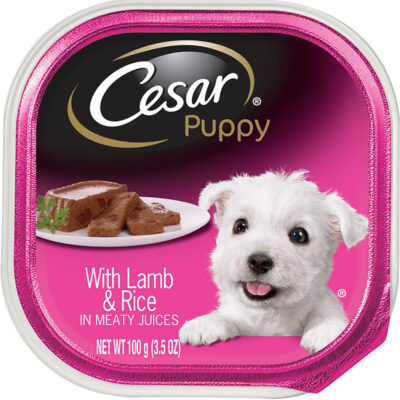 Pate cho chó Cesar Puppy With Lamb & Rice 6 Pate cho chó Cesar Puppy With Lamb & Rice
