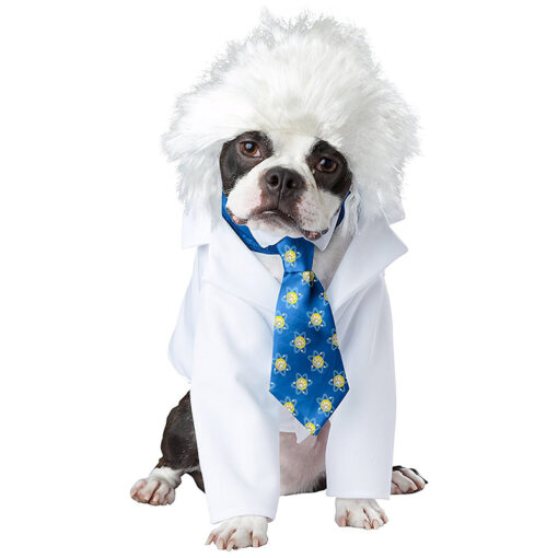 Quần áo cho chó California Costumes Al-Bark Einstein