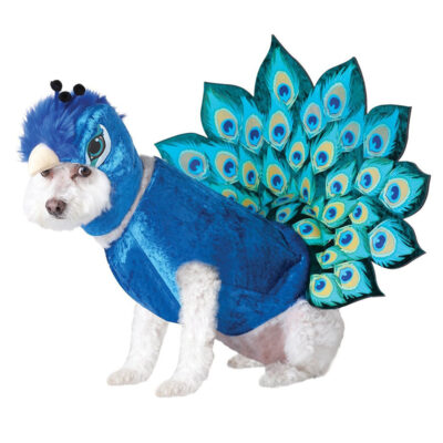 Quần áo cho chó California Costumes Peacock 9 Quần áo cho chó California Costumes Peacock
