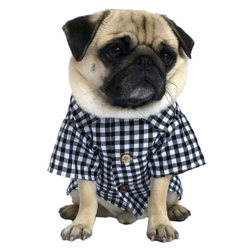 Quần áo cho chó Dog Threads Classic Gingham
