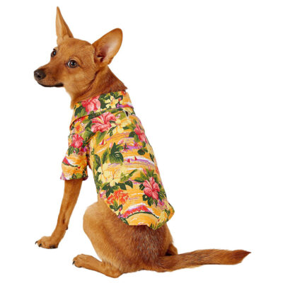Quần áo cho chó Doggie Design Hawaiian Sunset Hibiscus 10 Quần áo cho chó Doggie Design Hawaiian Sunset Hibiscus
