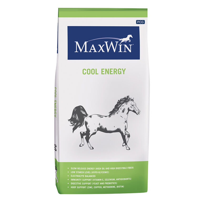 Thức ăn cho ngựa MaxWin Cool Energy