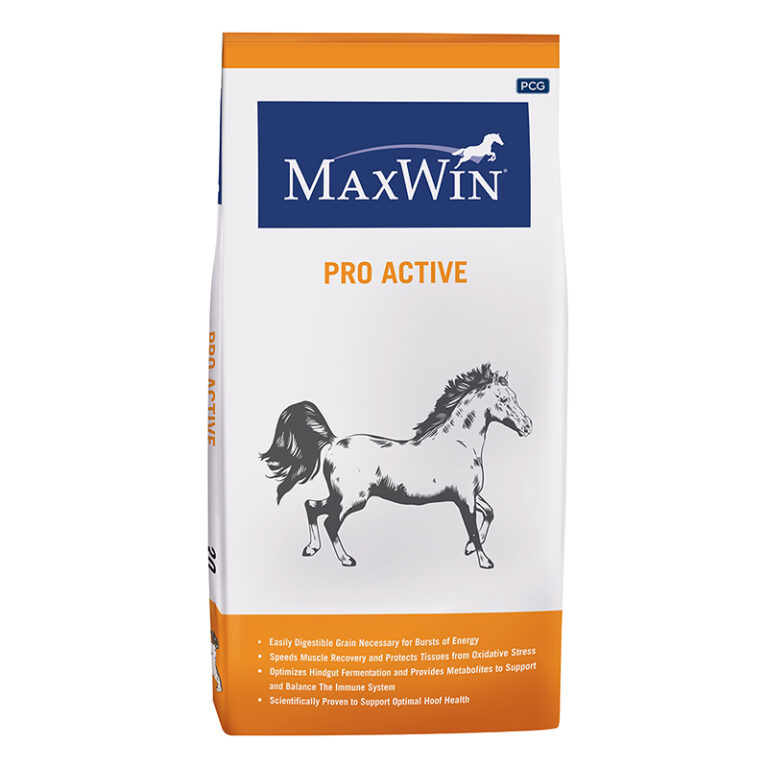 Thức ăn cho ngựa MaxWin Pro Active