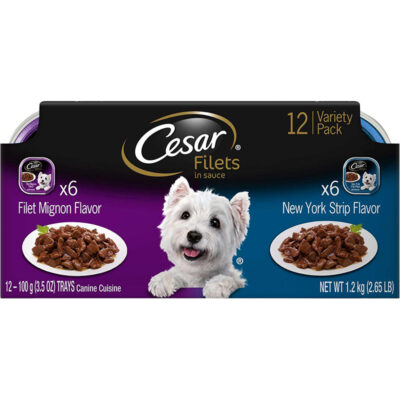 Thức ăn ướt cho chó Cesar Gourmet Filets in Sauce Beef Multipack
