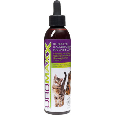 Thực phẩm chức năng hỗ trợ hệ tiết niệu chó mèo Animal Nutritional 11 Thực phẩm chức năng hỗ trợ hệ tiết niệu chó mèo Animal Nutritional