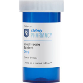 Thuốc chống viêm cho chó mèo Prednisone (Generic)