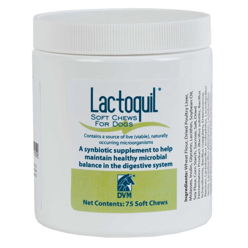 Thuốc dinh dưỡng cho chó Lactoquil Healthy Digestive System