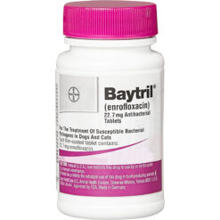 Thuốc kháng khuẩn cho chó mèo Baytril (Enrofloxacin) Tablets