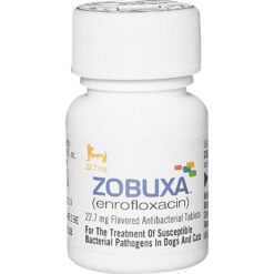 Thuốc kháng sinh cho chó mèo Zobuxa (Enrofloxacin)