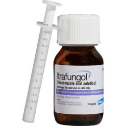 Thuốc trị bệnh nấm cho mèo Itrafungol Oral