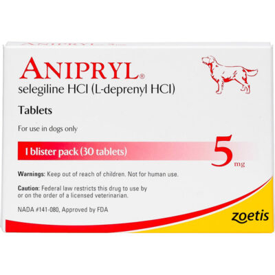 Thuốc trị rối loạn nhận thức ở chó Anipryl