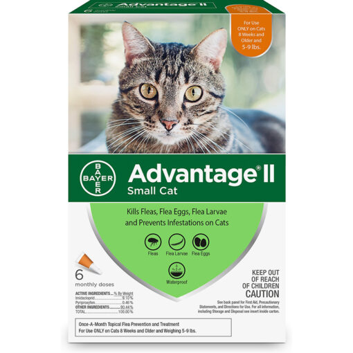 Thuốc trị ve rận cho mèo con Advantage II Flea Treatment