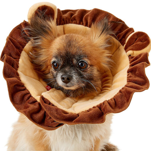 Vòng cổ chống liếm cho chó mèo Alfie Pet Noah Lion