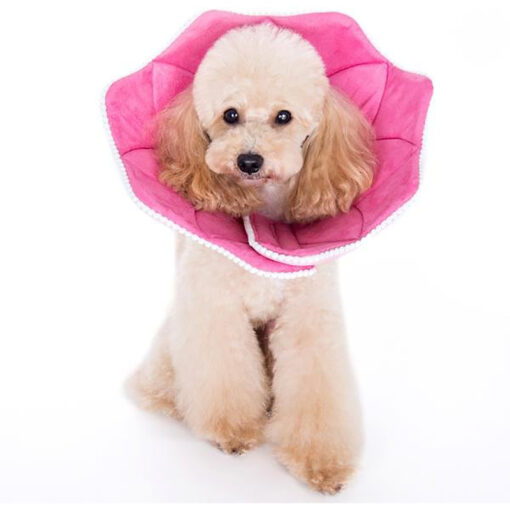 Vòng cổ chống liếm chó mèo Alfie Pet Noah Pink PomPom