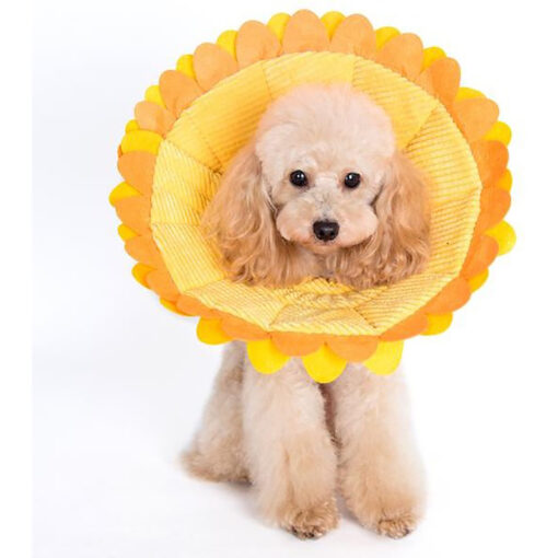 Vòng cổ chống liếm chó mèo Alfie Pet Noah Sunflower