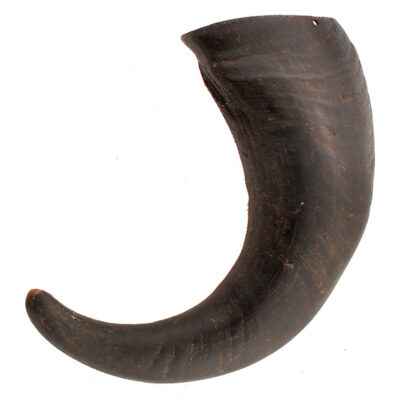 Xương gặm cho chó ABO Gear Water Buffalo 7 Xương gặm cho chó ABO Gear Water Buffalo