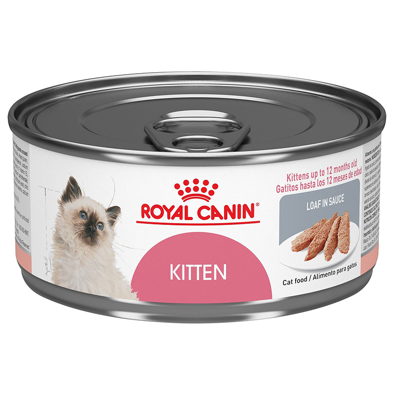 Thức ăn cho mèo mang thai Royal Canin Feline Health Nutrition Loaf in Sauce