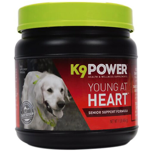 Bột dinh dưỡng cho chó K9 POWER Young At Heart Nutritional Senior Dog