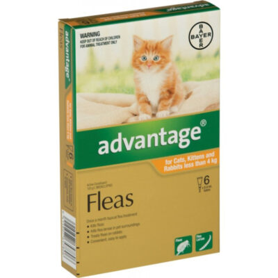 Thuốc Advantage cho mèo con dưới 4kg 12 Thuốc Advantage cho mèo con dưới 4kg