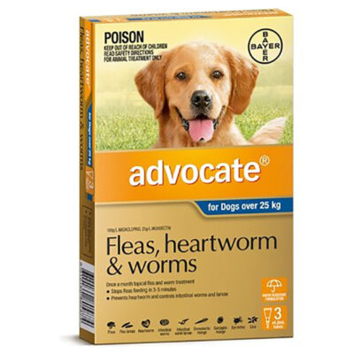 Thuốc Advocate cho chó lớn trên 25kg 11 Thuốc Advocate cho chó lớn trên 25kg