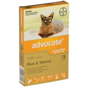 Thuốc Advocate cho mèo con dưới 4kg