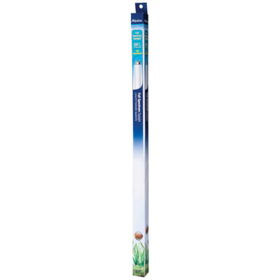 Bóng đèn thay thế cho bể cá Aqueon Daylight Replacement 10 Bóng đèn thay thế cho bể cá Aqueon Daylight Replacement