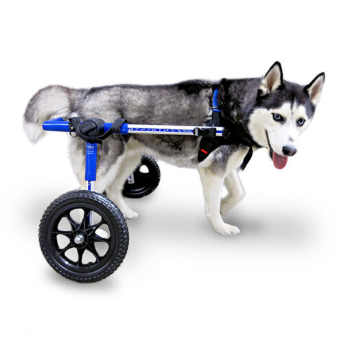 Xe lăn cho chó Walkin’ Wheels MEDIUM Dog Wheelchair
