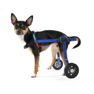 Xe lăn cho chó Walkin’ Wheels MINI Dog Wheelchair