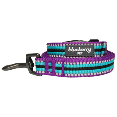 Dây dắt cho chó Blueberry Pet 3M Striped 9 Dây dắt cho chó Blueberry Pet 3M Striped