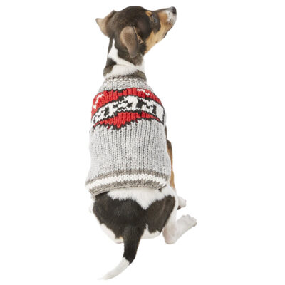 Quần áo cho chó mèo Chilly Dog Tattoo Mom 10 Quần áo cho chó mèo Chilly Dog Tattoo Mom
