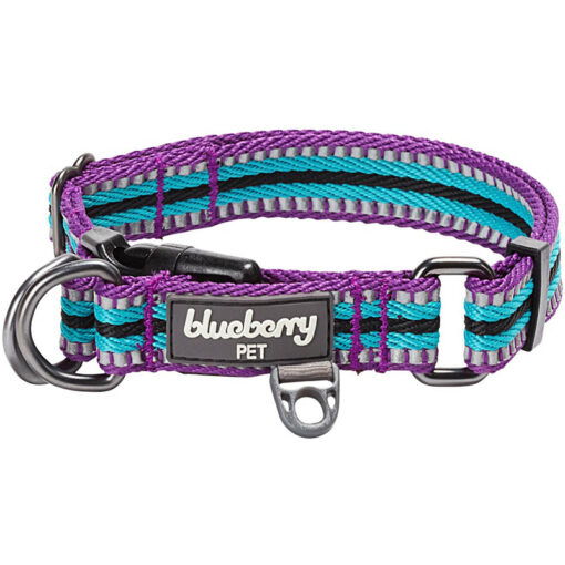 Vòng cổ cho chó Blueberry Pet 3M Reflective Multi-Colored Stripe