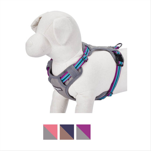 Xích đai cương ngực cho chó Blueberry Pet 3M Reflective Multi-Colored