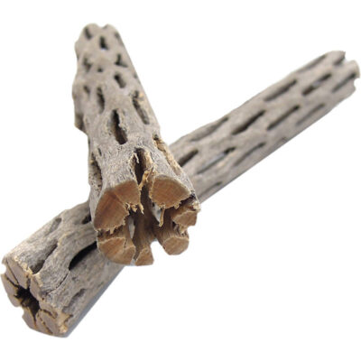 Gỗ lũa bể cá cảnh SubstrateSource Cholla Wood Aquarium & Terrarium Driftwood, 6-in 8 Gỗ lũa bể cá cảnh SubstrateSource Cholla Wood Aquarium & Terrarium Driftwood, 6-in