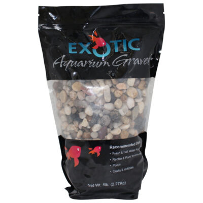 Sỏi cho bể cá Exotic Pebbles Polished Jade Gravel 8 Sỏi cho bể cá Exotic Pebbles Polished Jade Gravel