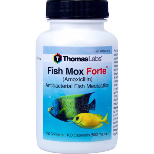 Thuốc cho cá kháng khuẩn Thomas Labs Fish Mox Forte Amoxicillin Antibacterial