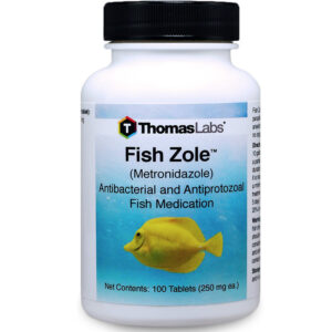 Thuốc kháng sinh cho cá chống khuẩn Thomas Labs Fish Zole Metronidazole Antibacterial