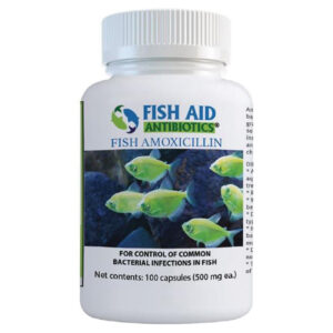 Thuốc kháng sinh cho cá Fish Aid Antibiotics Amoxicillin Capsules 100 viên