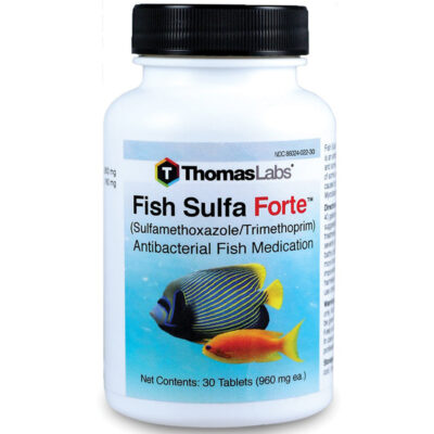 Thuốc kháng sinh cho cá kháng khuẩn Thomas Labs Fish Sulfa Forte Sulfamethoxazole/Trimethoprim Antibacterial