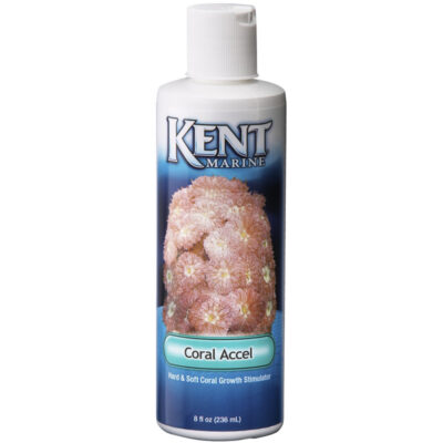 Thức ăn cho động vật không xương sống nước mặn Kent Marine Coral Accel Hard & Soft Growth Stimulator 10 Thức ăn cho động vật không xương sống nước mặn Kent Marine Coral Accel Hard & Soft Growth Stimulator