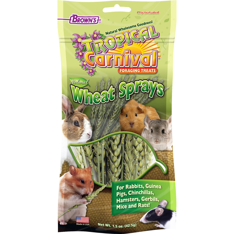 Thức ăn cho thỏ Brown's Tropical Carnival Natural Wheat Sprays Small Animal Treats