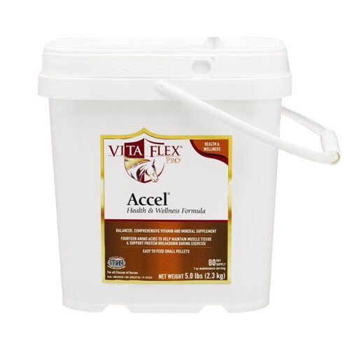 Bột dinh dưỡng cho ngựa Vita Flex Pro Accel Health & Wellness
