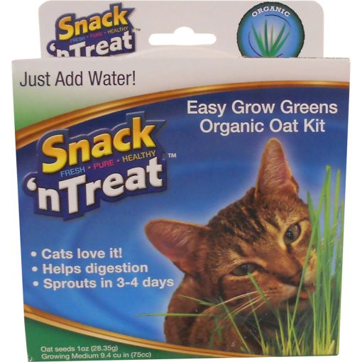 Bộ kit trồng cỏ mèo Imperial Cat Easy Grow Cat Oat Grass Kit