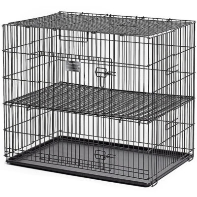 Chuồng sắt cho chó con sàn lưới MidWest Double Door Collapsible Wire Puppy Crate with Floor Grid 9 Chuồng sắt cho chó con sàn lưới MidWest Double Door Collapsible Wire Puppy Crate with Floor Grid