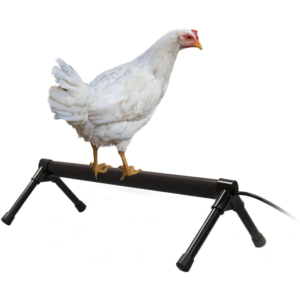 Thanh sưởi ấm cho gà K&H Pet Products Thermo Chicken Perch, Black