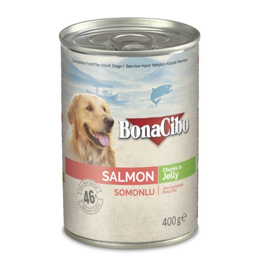 Pate cho chó trưởng thành Bonacibo Canned Wet Adult Salmon